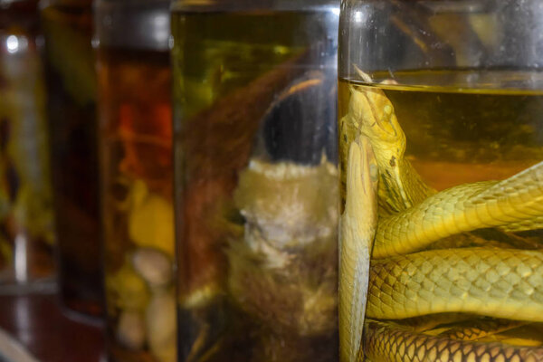 Змеи и имбирь в банках из-под алкоголя используют в медицине
