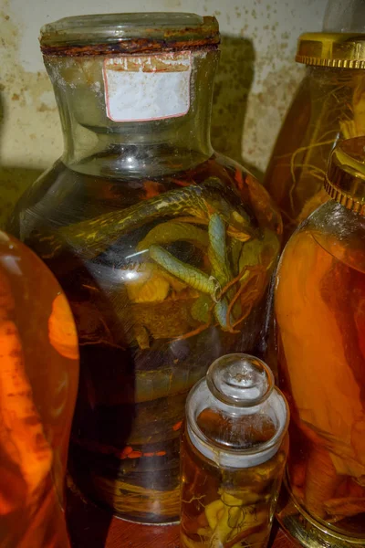 Змеи и имбирь в банках из-под алкоголя используют в медицине — стоковое фото