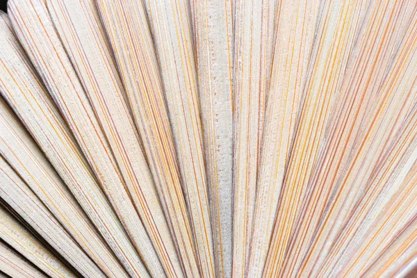 Фон из равномерно расширенных деревянных колб вентилятора — стоковое фото