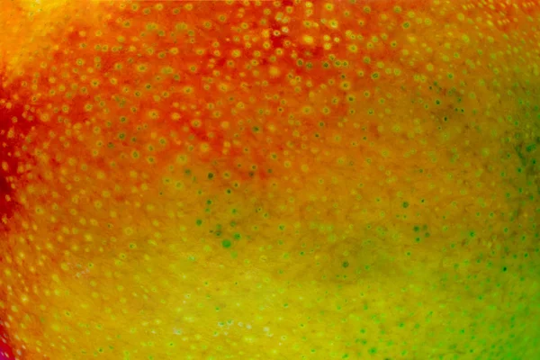 Superficie colorida del fondo de la fruta del mango con espacio libre —  Fotos de Stock