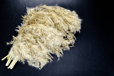 Siyah arka plan yüzeyi boş alana sahip en fazla kabarık bej reed bükülmüş