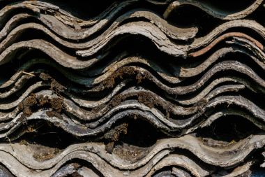 Çatı için bir sürü eski dalgalı slates birbirlerine yerleştirilir ve yosun ve likenler ile kaplı