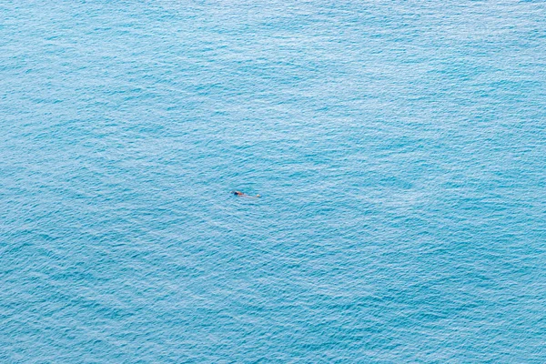 Aerial view of lonely swimmer swimming in the sea