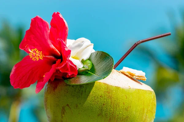 Cocktail Boisson Noix Coco Fraîche Humide Avec Des Fleurs Rouges — Photo