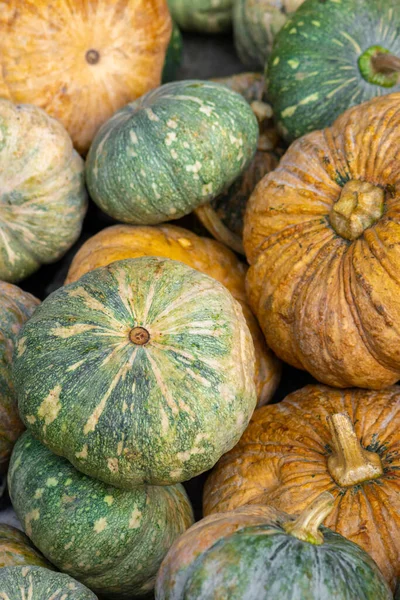 Olika Gröna Och Gula Pumpor Bakgrund Grön Pumpa Till Vänster — Stockfoto