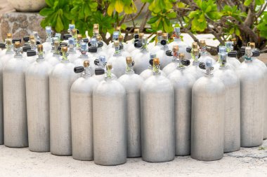 Bir sürü alüminyum tüplü oksijen tankı Tayland 'da yeşil sahil çalıları ve kayaların önünde duruyor.