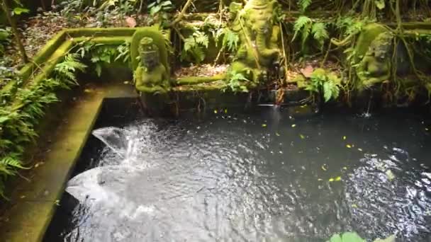 Très vieux et couvert de mousse verte étang de streaming dans la forêt de singes de Bali île 