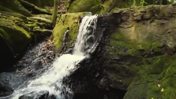 Расслабляющий Бегущий Водопад Таиланде Темные Джунгли Фоне Падения Сухих Листьев — стоковое видео