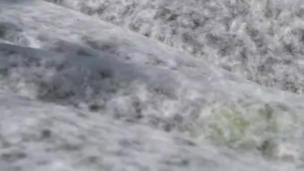 Pozadí Bílé Netkané Polypropylenové Textilie Používané Zahradnických Vlnách Větru — Stock video