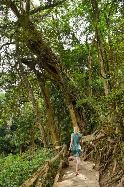 Blonde Frau Mit Grünem Kleid Wandelt Grünen Dschungel Vietnams — Stockfoto