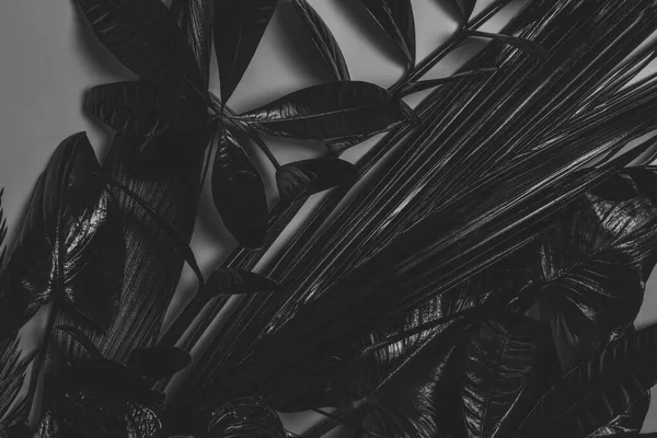 Abstract Background Composition Painted Black Tropical Leaves Flowers Grey Background — Stock Photo, Image