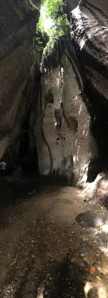 Arka plan için görüntüler. Doğa, insanlar.