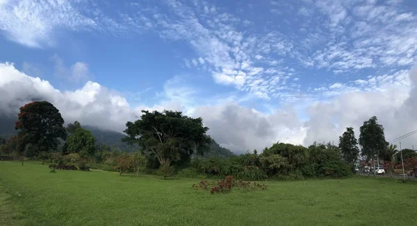 Imágenes Para Fondo Naturaleza Gente — Foto de Stock