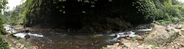 Imágenes Para Fondo Naturaleza Gente —  Fotos de Stock