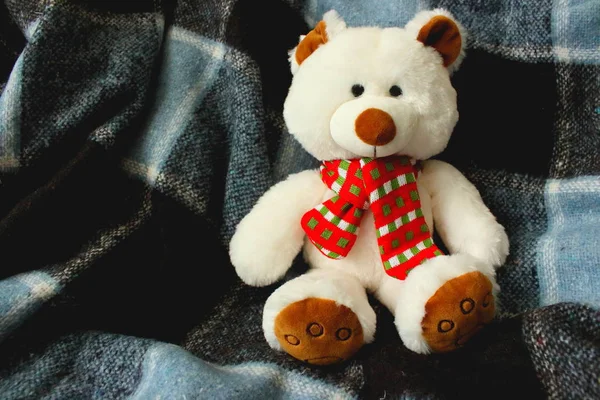 White teddy bear on blue plaid. Cute soft toy. Fluffy toy in children room. Childhood concept. Cute present. Coziness concept.