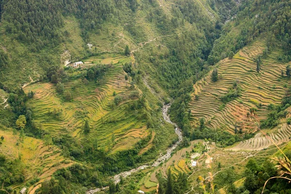 Bahçeleri Orman Üstten Görünüm Ile Himalaya Vadi Himalayalar Manzara Ova — Stok fotoğraf