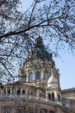Budapeşte, Macaristan - 02/19/2018: Aziz Stephan Katedrali bared ağaç ön plan karşı açık mavi gökyüzü ile. Dini mimari. Gezi ve seyahat kavramı. Antik Avrupa Katedrali. 