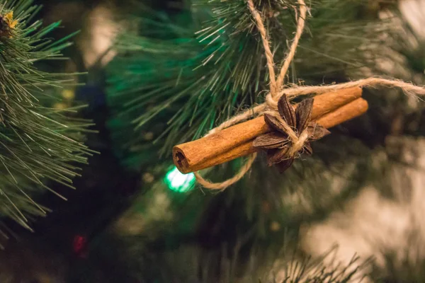 Décoration Arbre Noël Bâton Cannelle Étoile Anis Sur Pin Nouvel — Photo