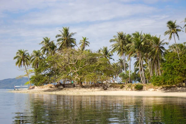 ヤシの木や山と牧歌的なビーチの近くの伝統的なフィリピンのボート パラワン近くのフィリピンのエリス島の熱帯の風景 アジアの素晴らしい自然 エキゾチックなビーチとジャングル パラダイス コンセプト — ストック写真