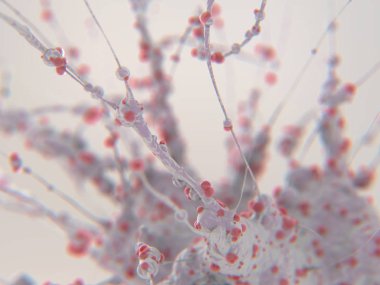 nöron 3D render. Merkez Sinir sisteminin, beyindeki sinir yolu.