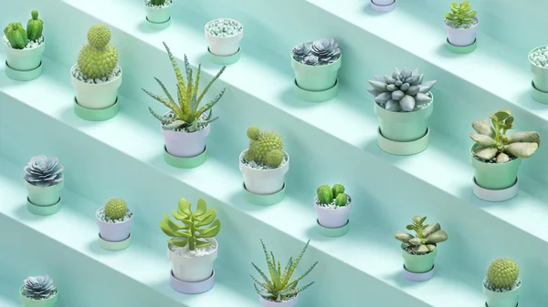 Weergave Van Vele Realistische Cactussen Met Potten Groene Abstracte Plank — Stockfoto