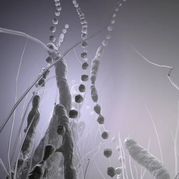Representación Composición Abstracta Con Algas Flotantes Bajo Microscopio —  Fotos de Stock