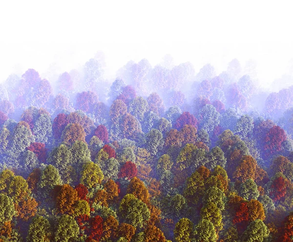 View Forest Receding Distance Thick Fog — Stock Photo, Image