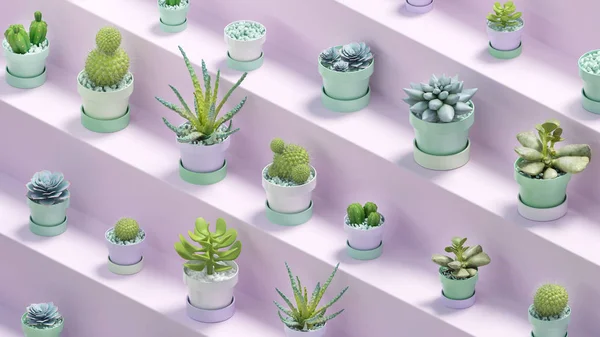 Weergave Van Vele Realistische Cactussen Met Potten Paarse Abstracte Plank — Stockfoto