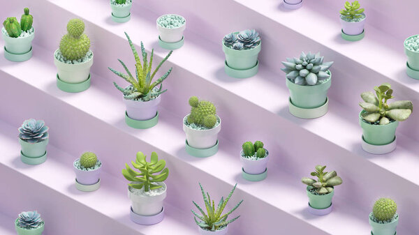 Rendering Many Realistic Cactuses Pots Purple Abstract Shelf Stairs Isometric — Stock Photo, Image