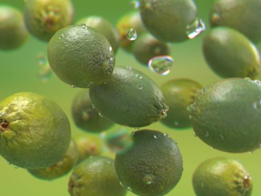 gerçekçi 3d limes su sıçrama uçan