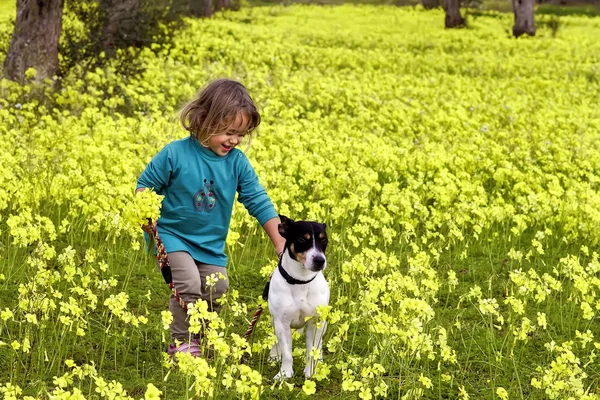 Klein meisje en Jack Russel hond — Stockfoto