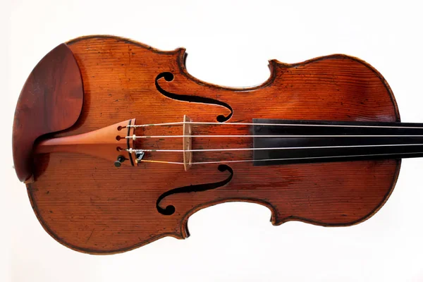 Violin på en vit bakgrund — Stockfoto