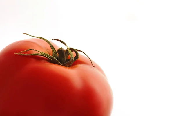 Червоний помідор на білому тлі — стокове фото