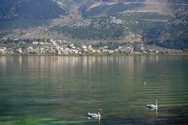 Vedere frumoasă a lacului Pamvotida din Ioannina, Epirus — Fotografie, imagine de stoc