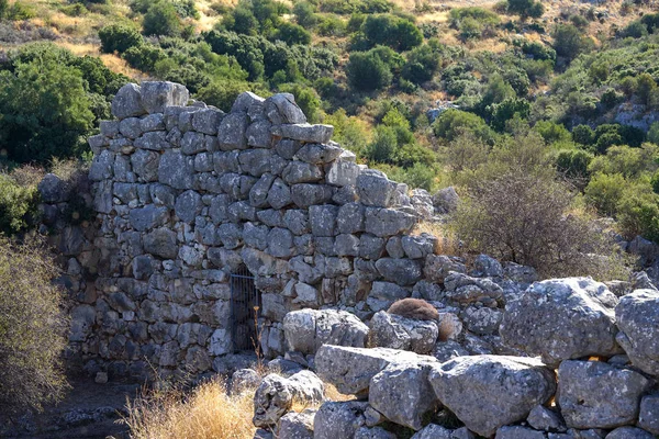 Detalhe das muralhas de fortificação da antiga cidadela de Micenas — Fotografia de Stock