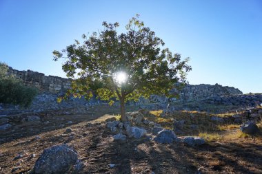 Panoramic view of the citadel of Mycenae in the morning