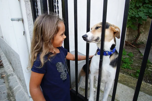 Een 4 en een half jarig meisje speelt met een prachtige hond — Stockfoto