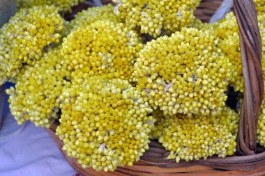 A typical Kythira suvenir are the flowers called 'Sempreviva'