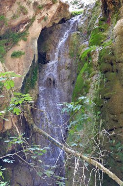 Milopotamos, Kythera Adası 'ndaki nehir ve bitki örtüsü manzarası