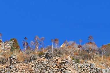 Monemvasia dağında sonbaharın sonlarında kuru çalılar.