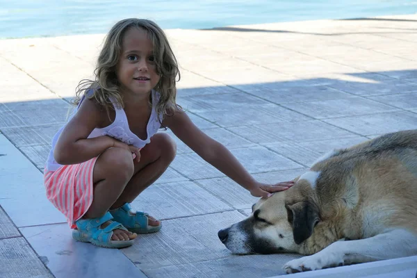 Blond 4 jaar oud meisje strelt een hond — Stockfoto