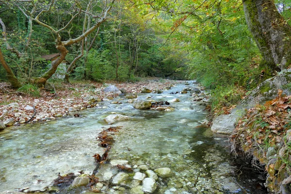 Enchanted Nature North Pozar Maecdonia Greece — Stock Photo, Image
