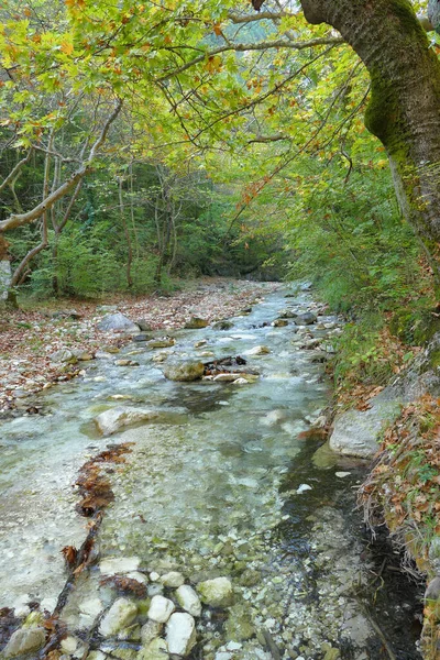 Yunanistan Maecdonia Kentindeki Pozar Kuzeyinde Büyülü Doğa — Stok fotoğraf