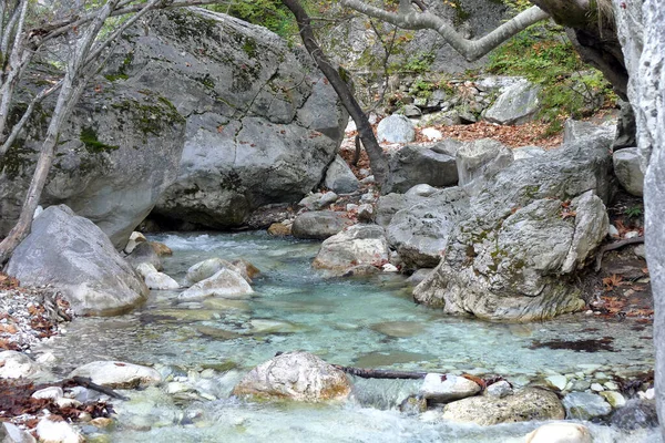 Natura Incantata Nord Pozar Maecdonia Grecia — Foto Stock