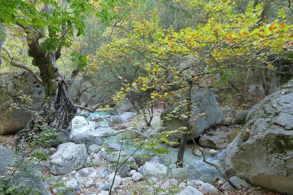Заколдованная Природа Северу Позара Мекдонии Греция — стоковое фото