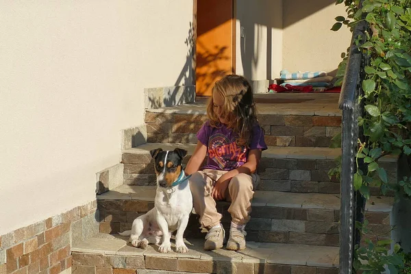 Jaar Oud Meisje Speelt Thuis Met Haar Kleine Hond — Stockfoto