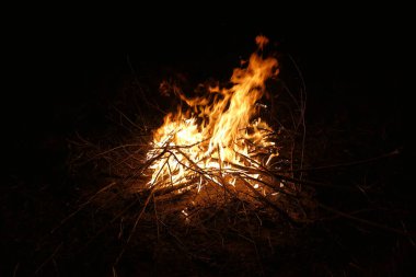 Bulgaristan 'ın orta kesimindeki güzel Mavi Nehir yakınlarındaki kamp sırasında ateş yakıldı
