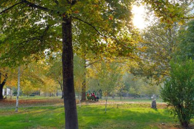 Rupite, Bulgaristan 30 Ekim 2019 Rupite 'de çok ünlü bir Bulgar kahin olan Baba Vanga' nın anısına güzel bir park.