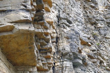 Yunanistan 'ın Epirus kentindeki Monodendri yakınlarındaki taş ormanının ayrıntıları