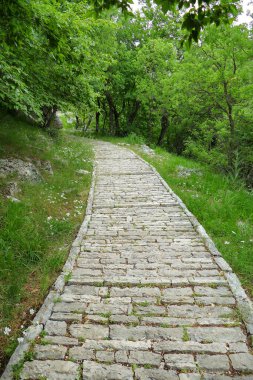 Yunanistan 'ın Epirus kentindeki Vikos-Aoos ulusal parkında Oxia Viewpoint' e giden yol